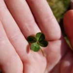 a person holding a small green leaf in their hand