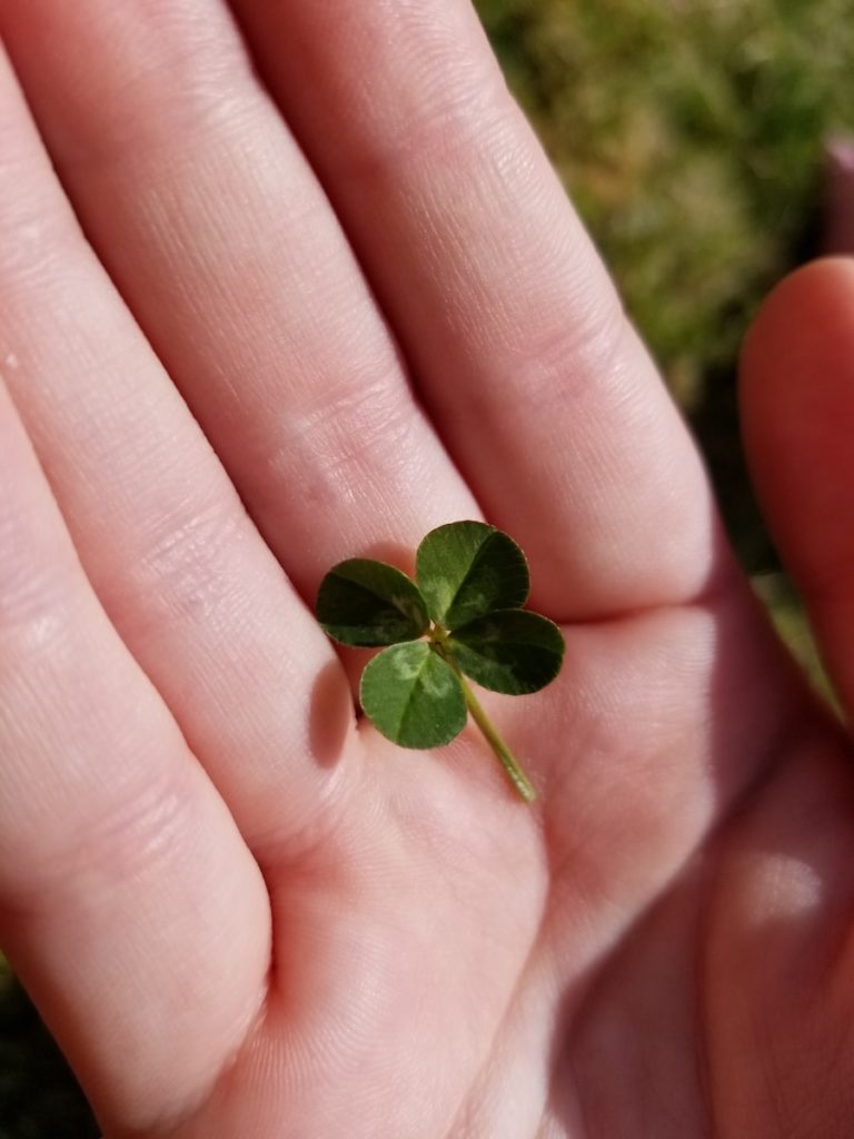 a person holding a small green leaf in their hand