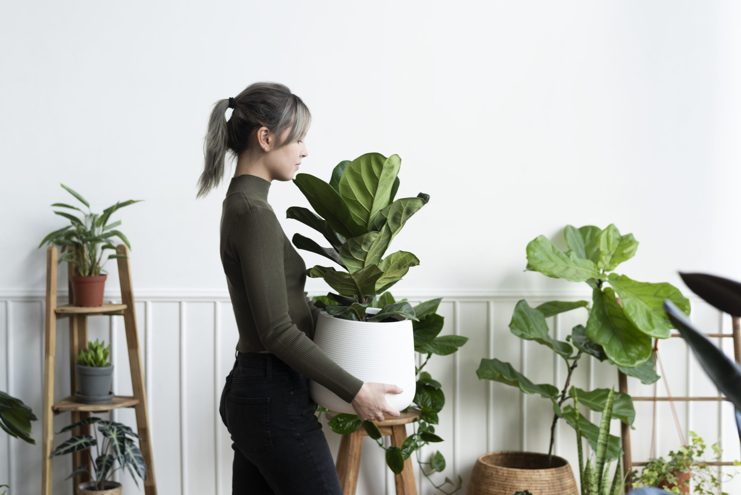 Les achats utiles pour la culture indoor sur Suisse